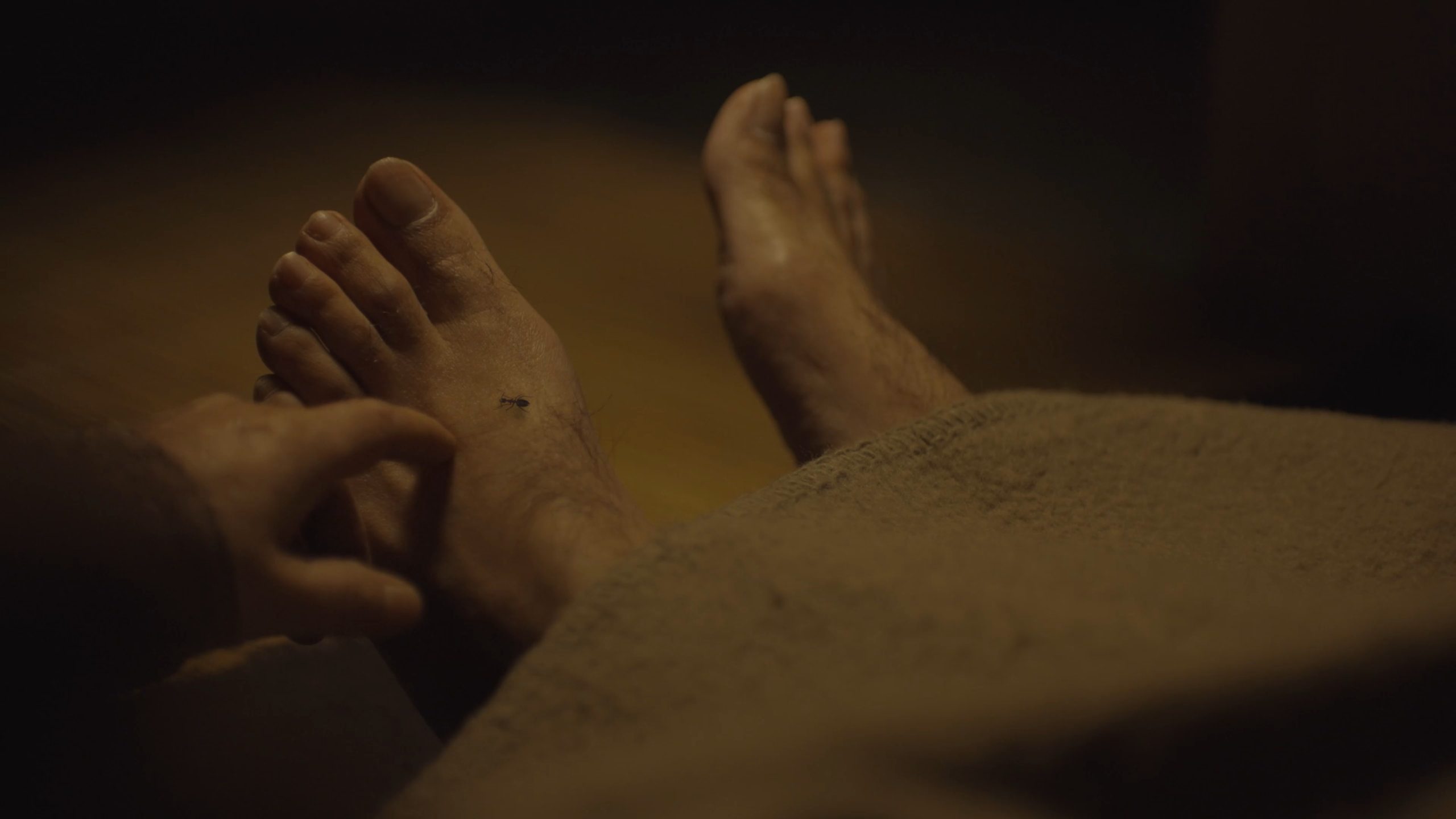 Dreamy Fragrance Of Spring Blossoms (2023)- Farid Isvand Tahmasebi- Cinematographer.mp4_snapshot_09.01_[2025.02.05_11.46.06]