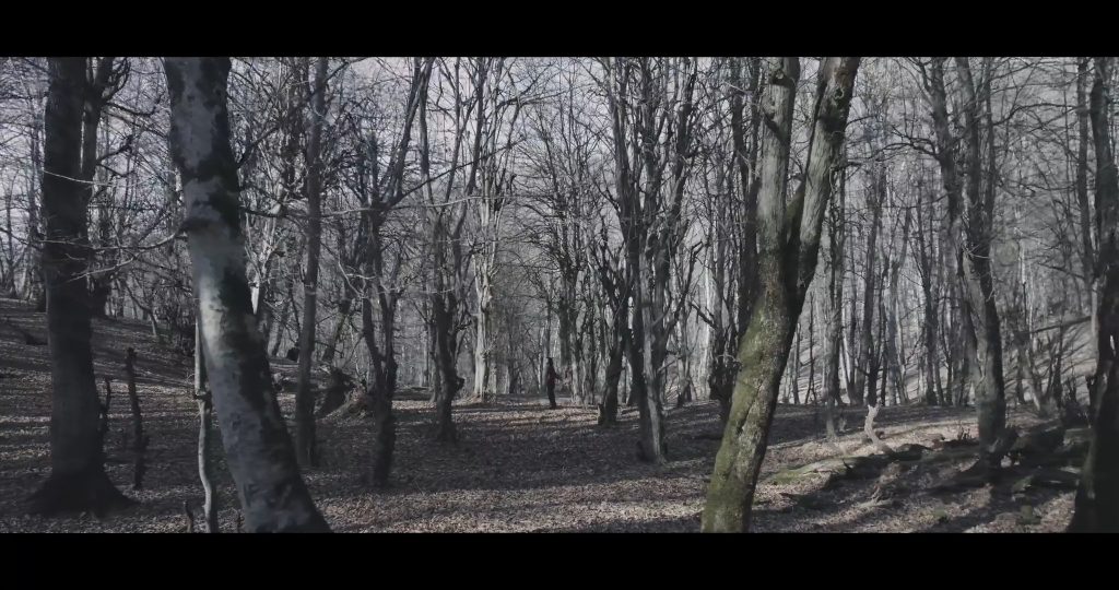 the_deafening_white_noise_(2024).mp4_snapshot_00.49_[2025.02.05_16.05.59]