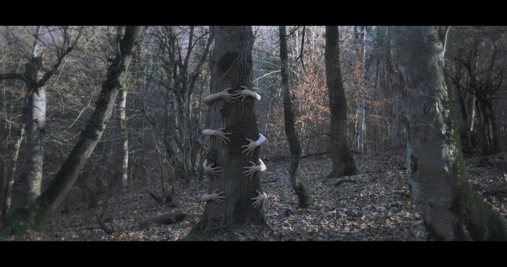 the_deafening_white_noise_(2024).mp4_snapshot_02.30_[2025.02.05_16.06.42]