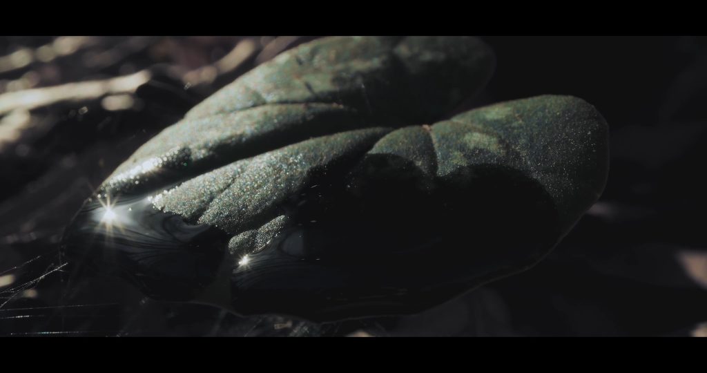the_deafening_white_noise_(2024).mp4_snapshot_04.46_[2025.02.05_16.07.17]